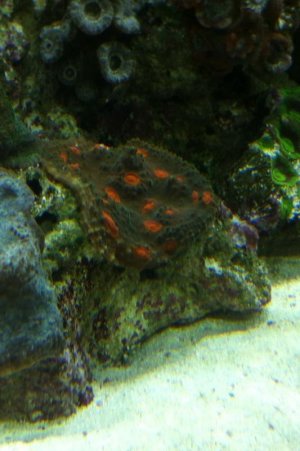 IMG_0571.jpg