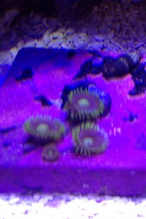 IMG_6842.jpg