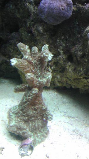 IMAG0135.jpg
