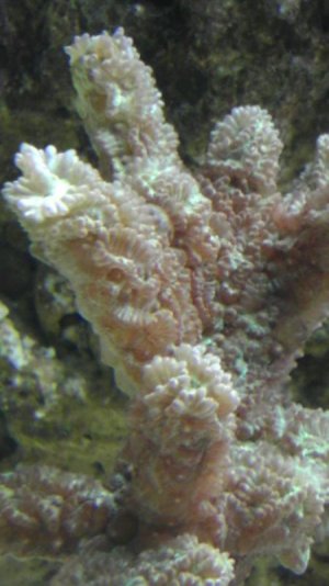 IMAG0141.jpg