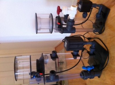 photo(12).jpg