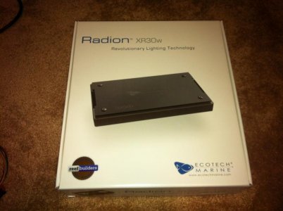 Radion.jpg