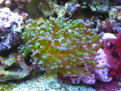 IMG_0389.jpg