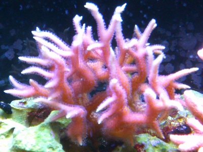 IMG_0328.jpg