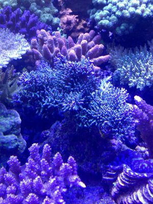IMG-20120329-00016.jpg