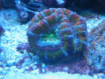 DSCF1279.jpg