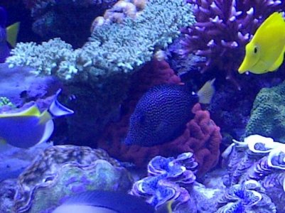 Oyster Bay-20120329-00027.jpg