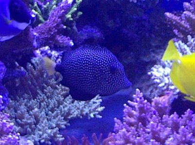 Oyster Bay-20120329-00028.jpg
