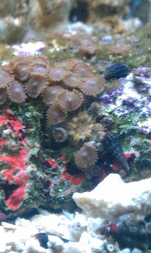 IMAG0093.jpg