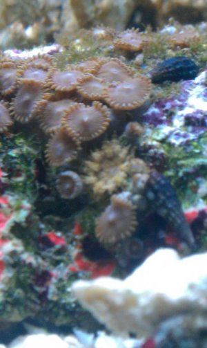 IMAG0092.jpg