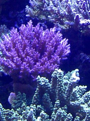 IMG-20120329-00018.jpg