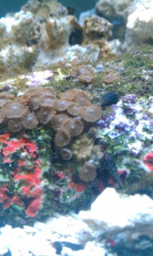 IMAG0090.jpg