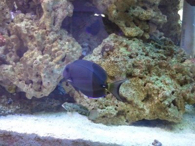 2012-03-05 12.20.58.jpg