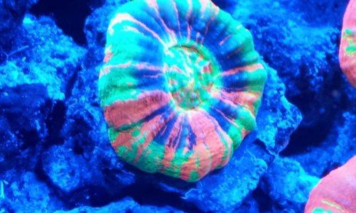 2012-03-10 21.23.30.jpg