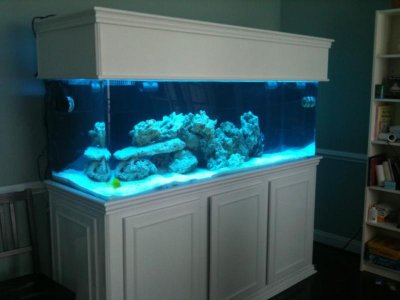 180FilledGallonStandandCanopywhite[1].jpg