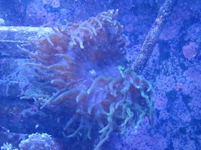 2012-03-11 18.15.40.jpg