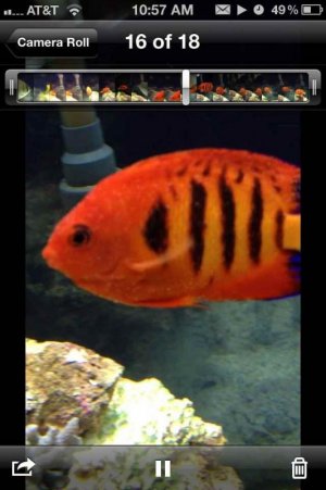 ImageUploadedByTapatalk1333314271.609274.jpg ImageUploadedByTapatalk1333314271.609274.jpg