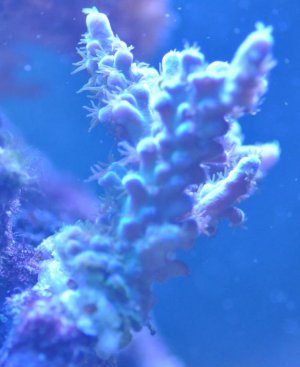 DSC_0048.jpg