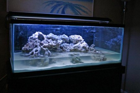 031112 Water started.jpg