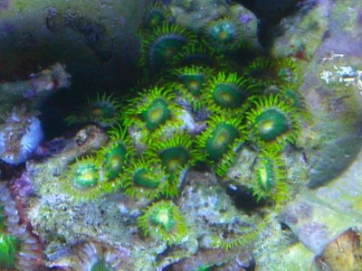 IMG_0445.jpg