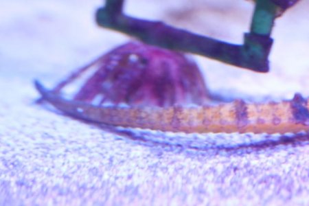 20120312_191644_3484.jpg