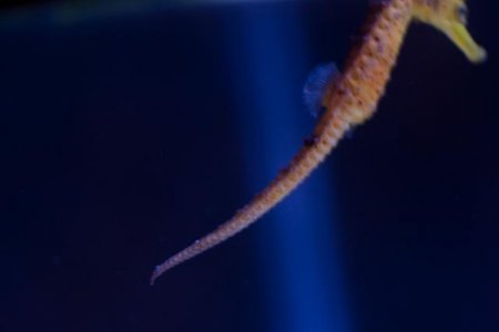 20120312_191335_3474.jpg