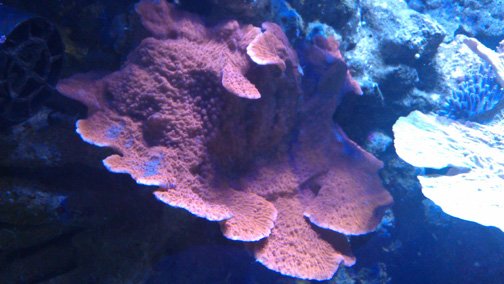 IMAG0255-1.jpg