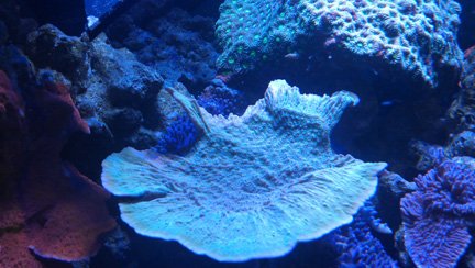 IMAG0257-1.jpg
