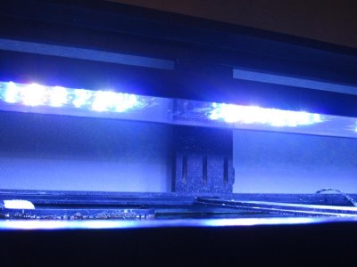 sunbrite 2.jpg