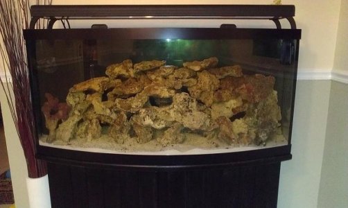 Fishtank.jpg