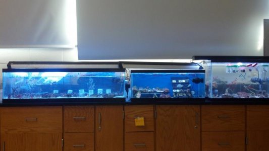 2012-03-10_16-33-18_668.jpg