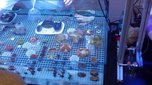 2012-03-10_16-51-17_157.jpg