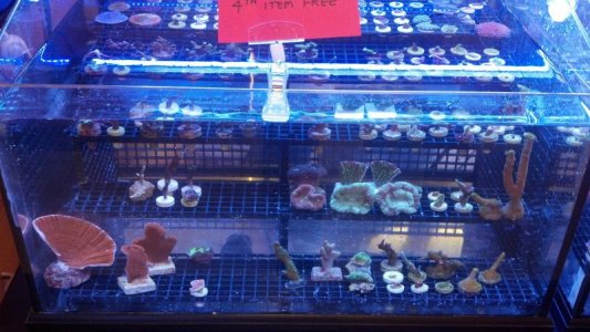 2012-03-10_16-51-42_627.jpg