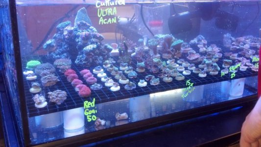 2012-03-10_16-52-08_179.jpg