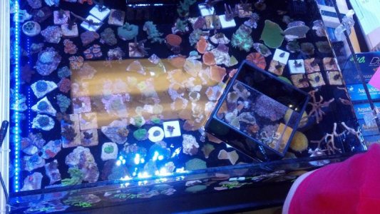 2012-03-10_16-52-26_807.jpg