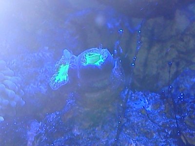 0325122221a.jpg
