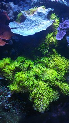 IMAG0271.jpg