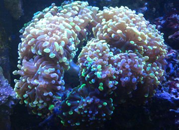 IMAG0272.jpg