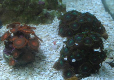 IMAG0275.jpg