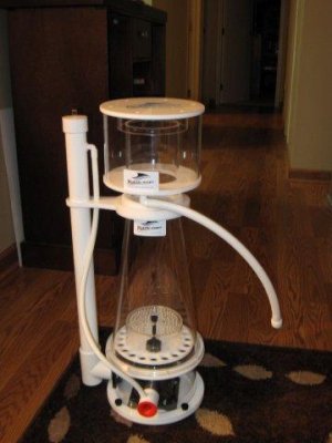 IMG_2395new skimmer.JPG