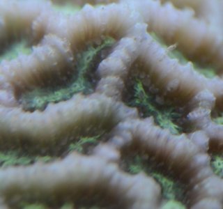 favites-after-closeup.jpg