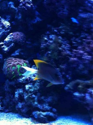 ImageUploadedByTapatalk1333673914.688321.jpg ImageUploadedByTapatalk1333673914.688321.jpg