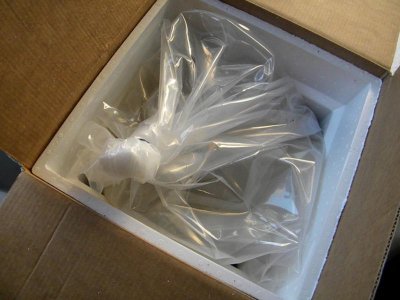 DSCN7827.jpg