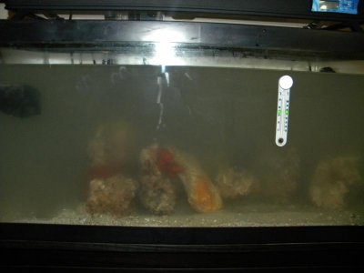 DSCN7838.jpg