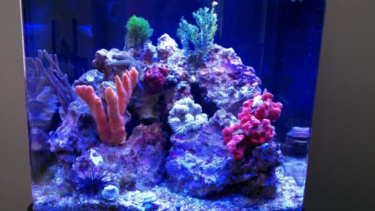 IMAG0466.jpg