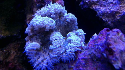 IMAG0467.jpg