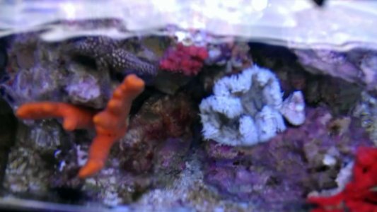 IMAG0484.jpg