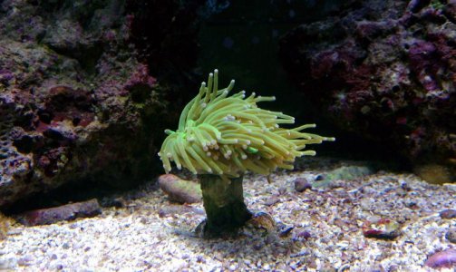 IMAG0559.jpg