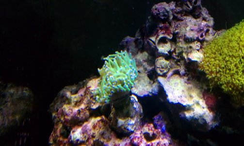 IMAG0561.jpg
