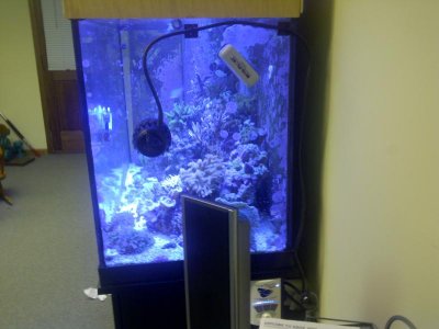 Lawrenceville-20120411-00145.jpg